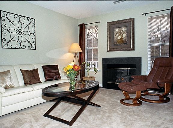Gas Fireplace