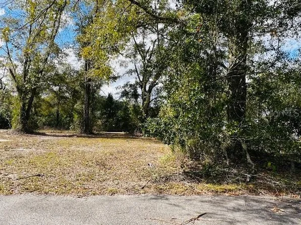 3557 Frederick Ave #1, Bell, FL 32619