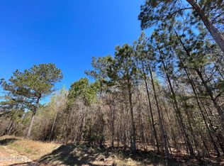 742 Joe Chambers Rd, Forsyth, GA 31029