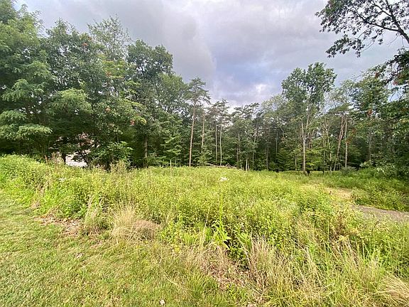 4th image of 12998 Huckleberry Ln