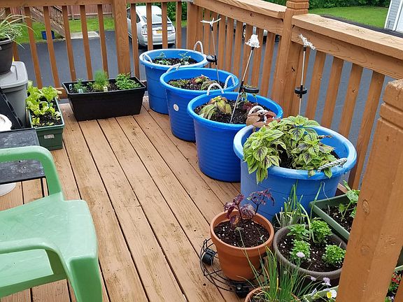 Grow a container garden or relax with a small table and chairs.