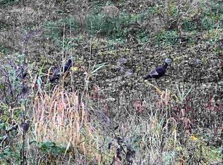 W Spring St, Mc Gregor, IA 52157