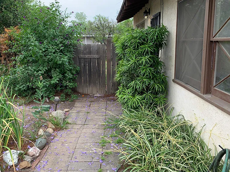 San Jose St — Photo 3