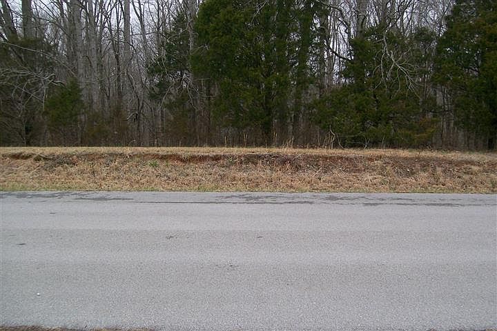 2nd image of 56 Collins River Dr Lot 56