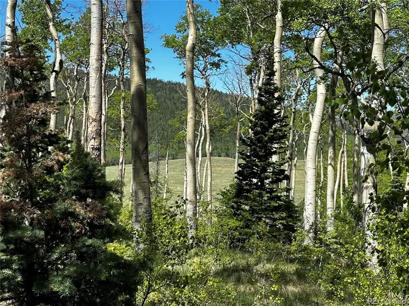 2506 Petito Drive LOT 2506, Fort Garland, CO 81133