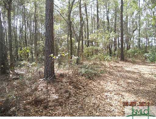 2nd image of 0 Eagle Neck Drive