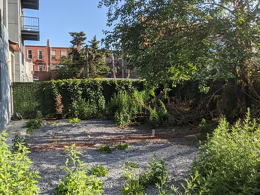 Rented by Corcoran | media 17