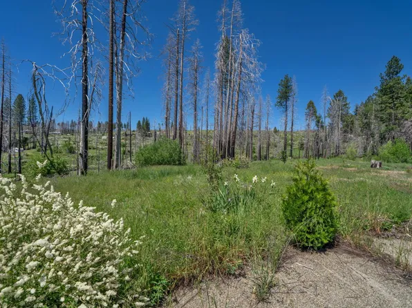 7425 Winding Way, Grizzly Flats, CA 95636