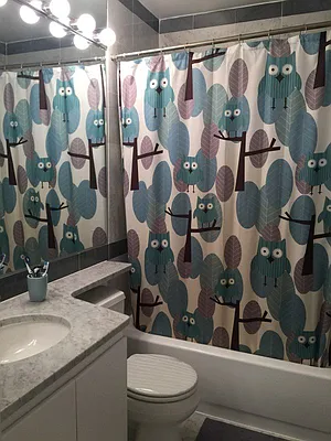 Rented by Owner | media 39