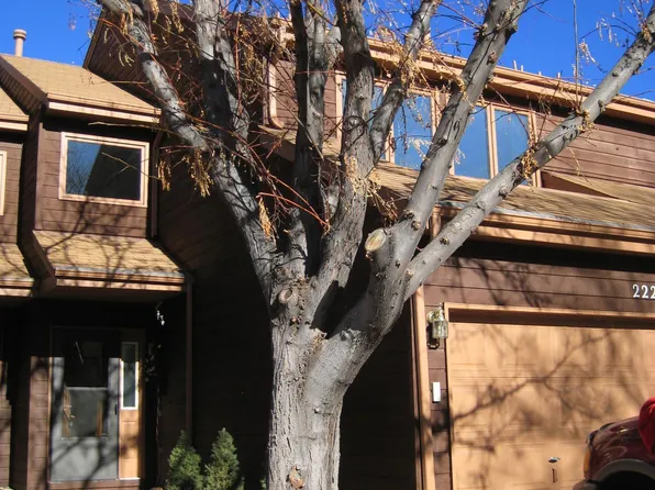 2223 E 129th Ave, Thornton, CO 80241