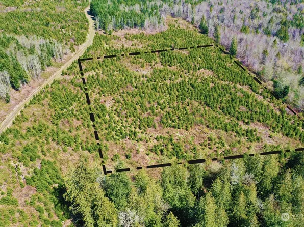 67 X Snow Creek Road, Quilcene, WA 98376