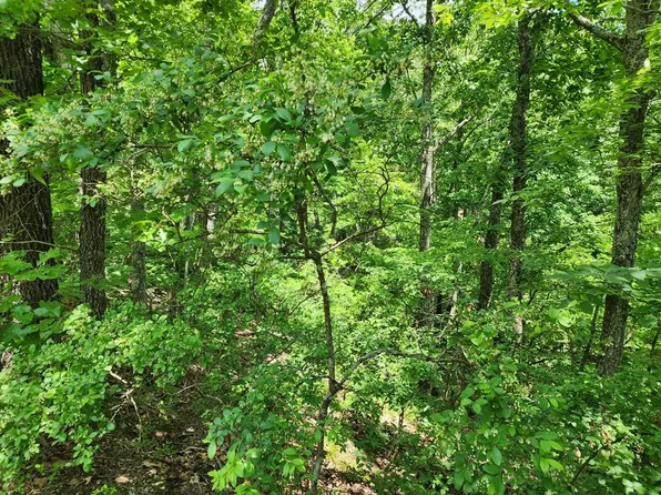 19 Country Club Ln, Holladay, TN 38341