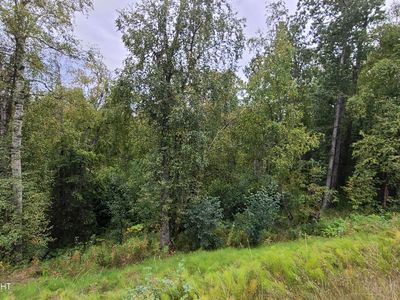 4248 W Little Rain Rd, Wasilla, AK, 99623