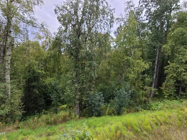4248 W Little Rain Rd, Wasilla, AK 99623