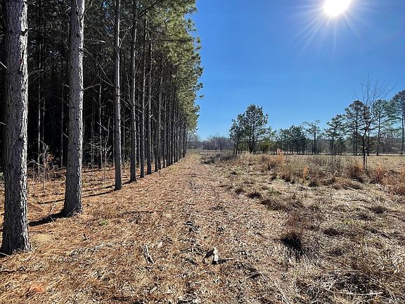 5th image of 609 Barker Rd