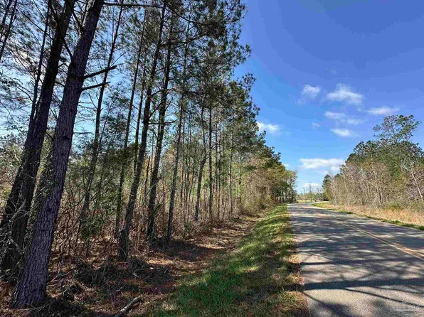 LOT A1 Snider Ave, Frisco City, AL 36445