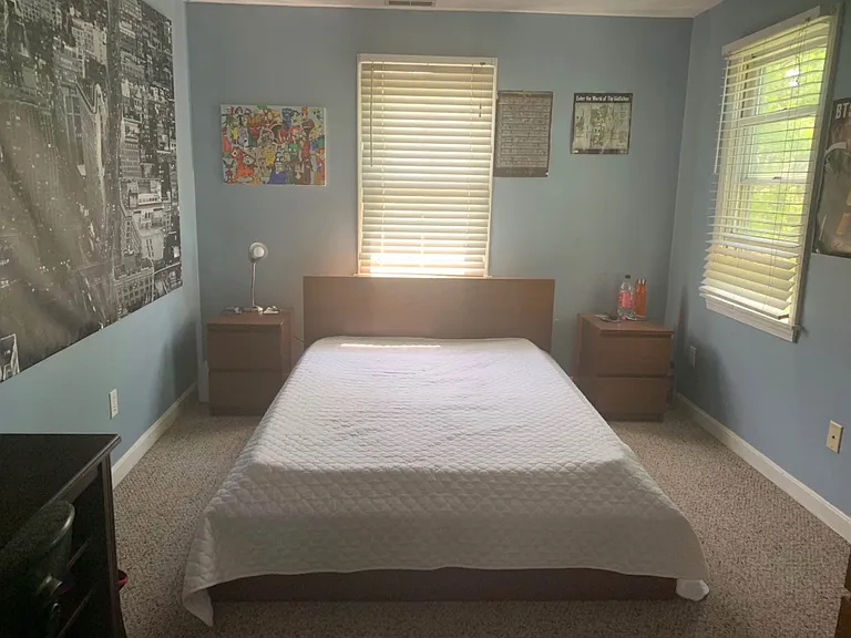 22 Delta Ter — Photo 12