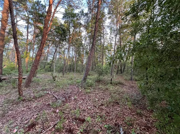 Twin Lakes Rd Lot 12, Interlachen, FL 32148