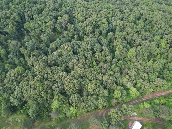 0 Webb Rd Lot 1B, Summertown, TN 38483