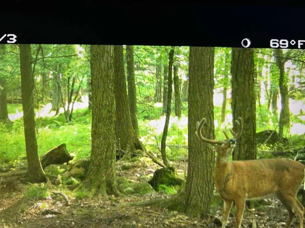 00 HILL ROAD, Birnamwood, WI 54414