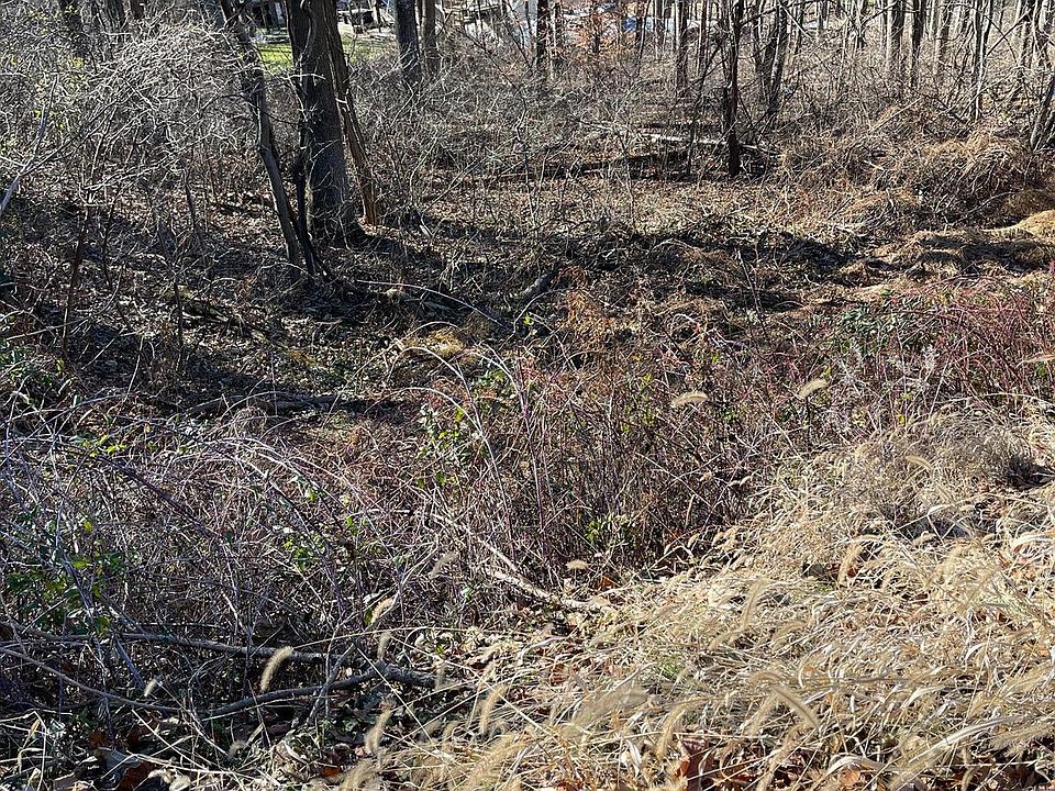 2nd image of 8 Bonnie Trl