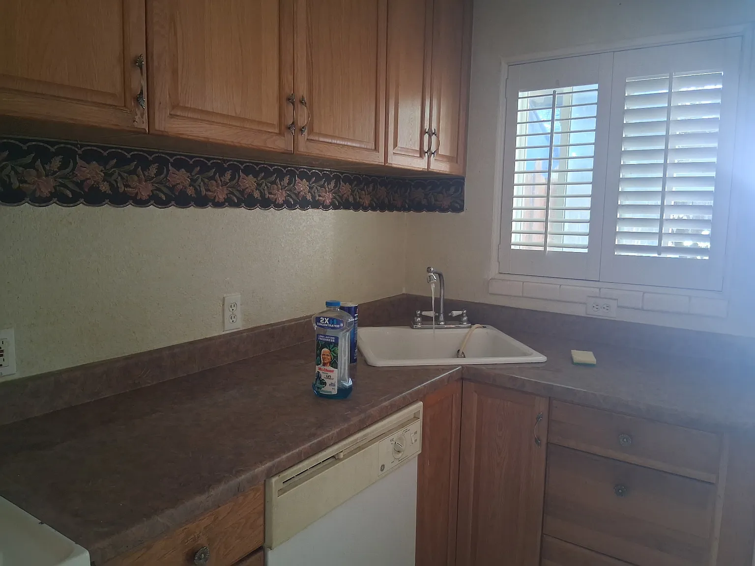 1 bed, 512 sqft, $1,300 — Photo 3