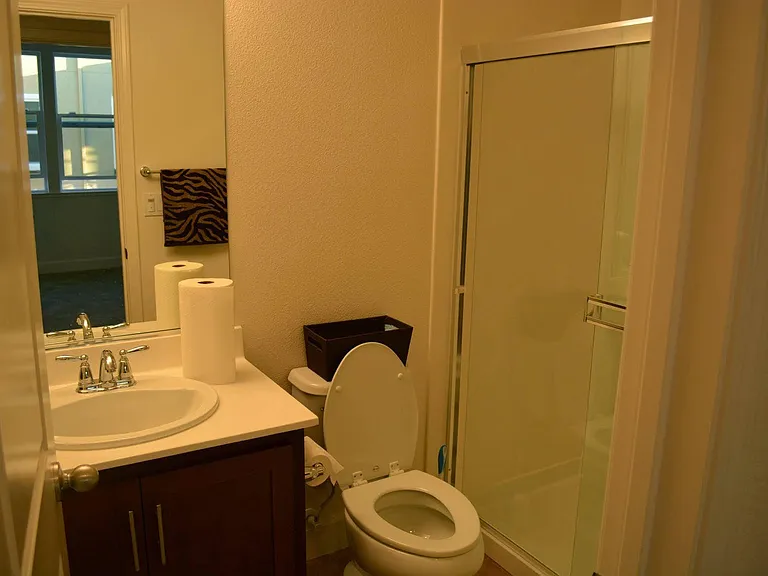 Bathroom 1 (Common bath in living area)
