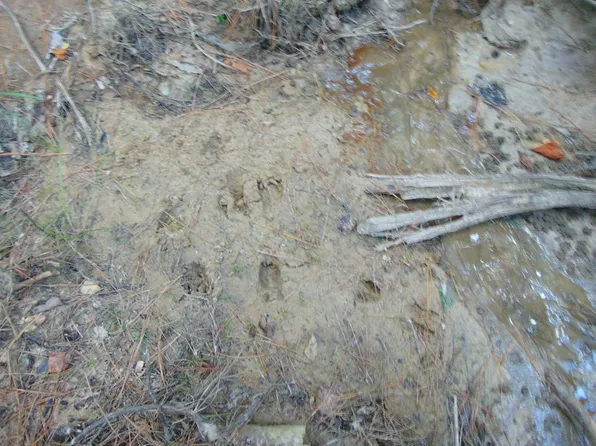 5700 Monticello Rd, Wesson, MS 39191