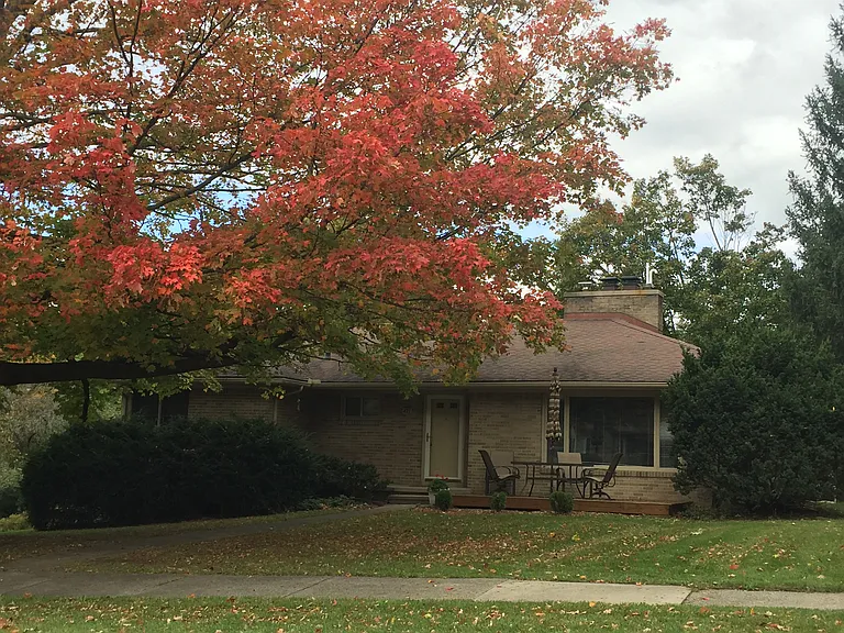 Whitehills Dr — Photo 4
