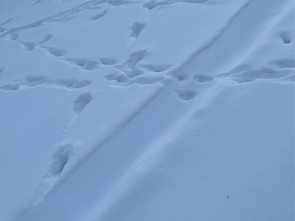 3rd image of 3000 S Genuine Rd