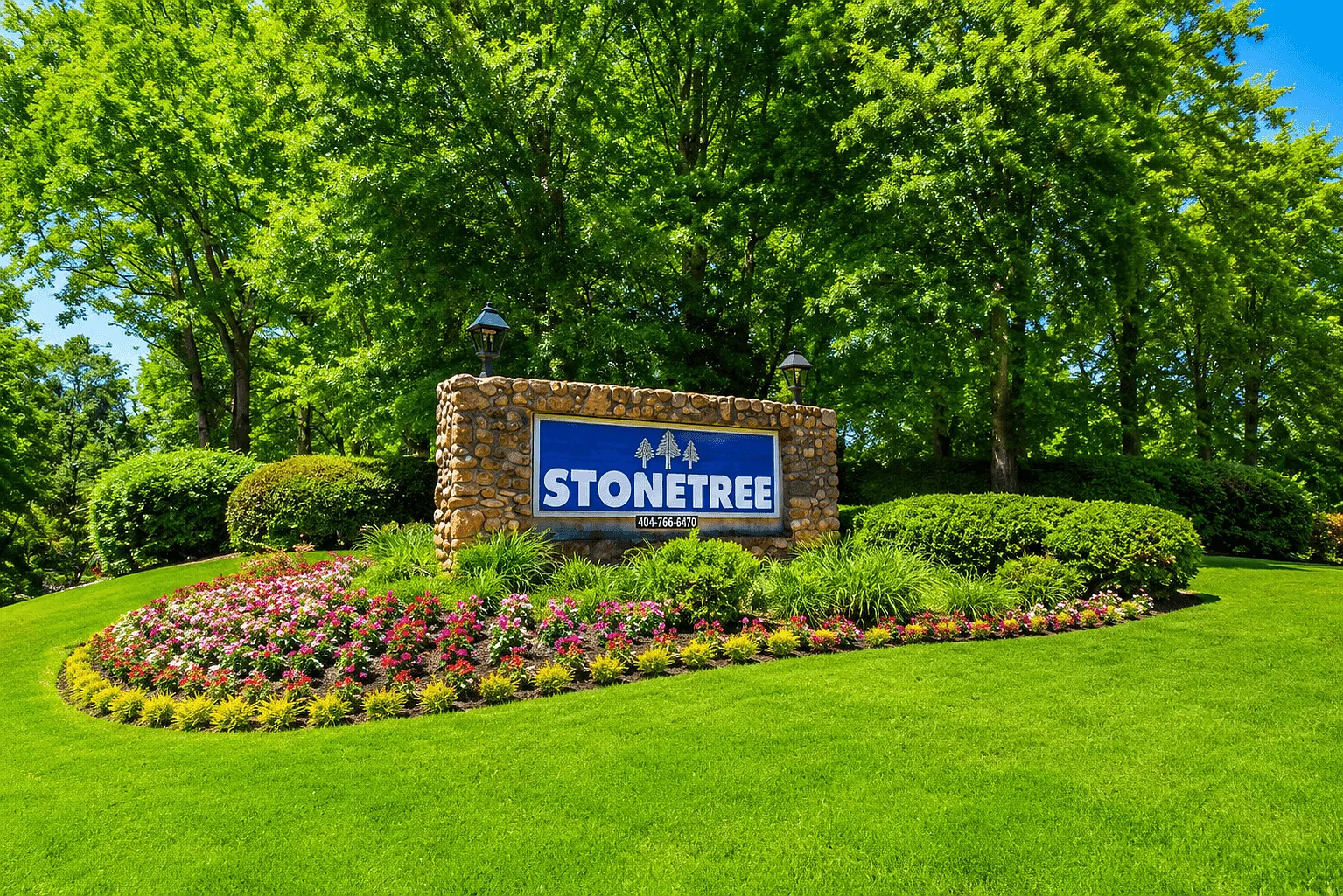 Stonetree — Photo 1