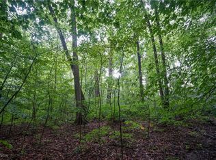 Duncanson Rd, Sinking Spring, OH 45172