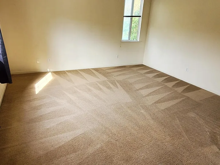 4132 Wheeler Peak Way — Photo 11
