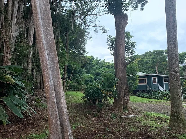 Loihi