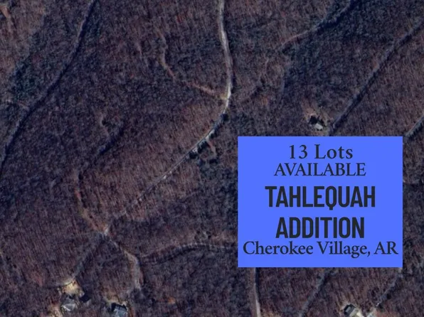13 Oho Dr, Cherokee Village, AR 72529