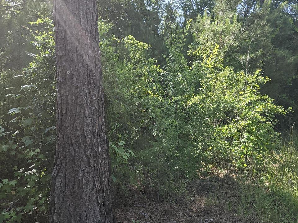 1st image of 21577 Highway 49 S