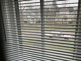 View out the front window
