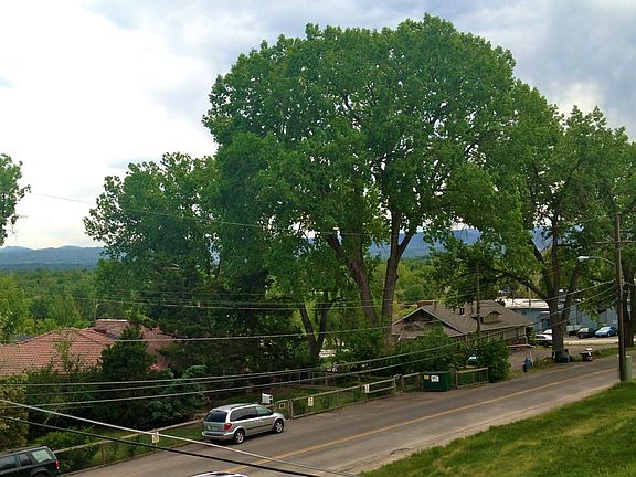 View From Balcony