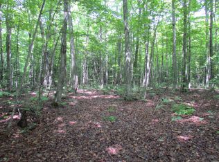 0 Henning Rd, Lewiston, MI 49756