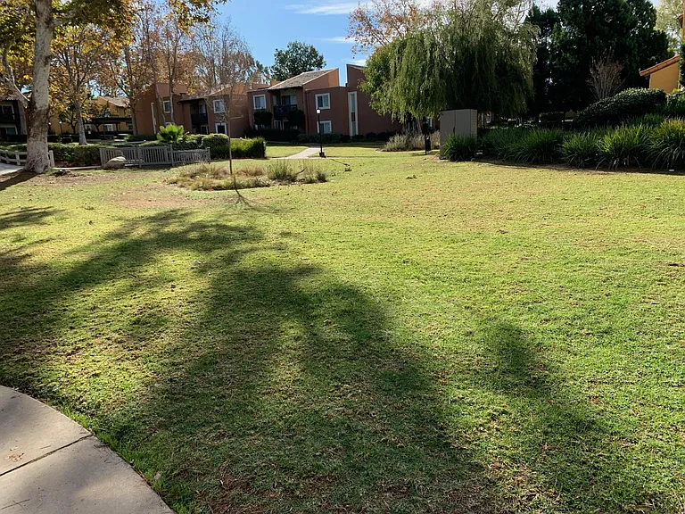 17081 W Bernardo Dr W — Photo 21