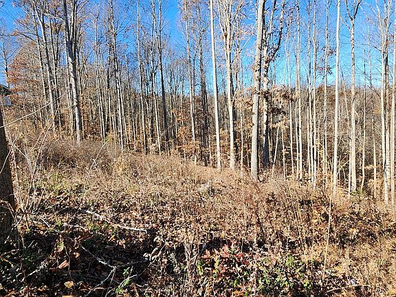3rd image of 0 Shiloh Ln Lot 10