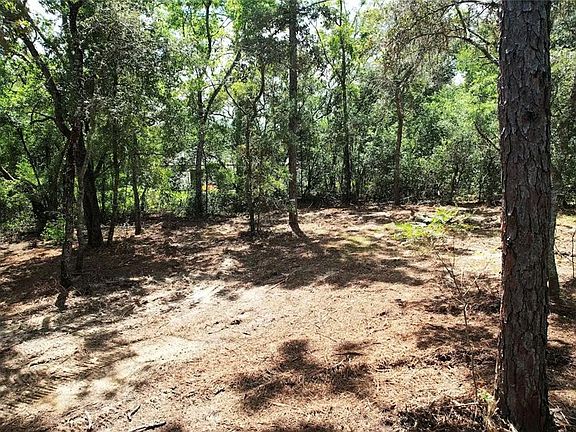 2nd image of 3094 E SCOFIELD STREET LOT 23