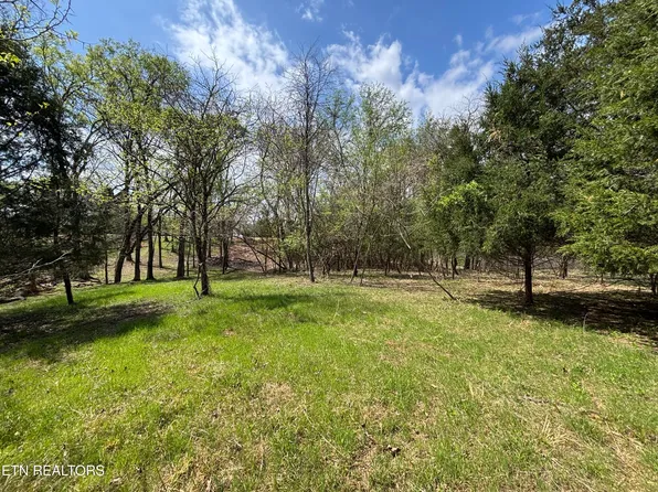 E Shore Dr, Rockwood, TN 37854