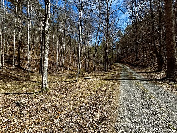 4th image of 0 Owl Hollow Trl SW Lot 2