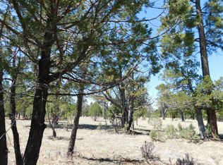 2820 Timber Ridge Cir, Happy Jack, AZ 86024