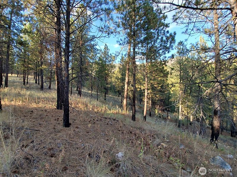 4th image of 0 Long Horn Trail