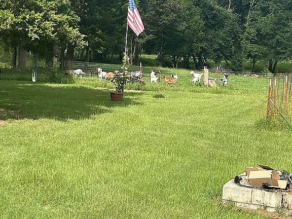 4th image of 656 N 4420th Rd