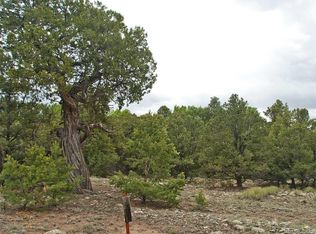 3805 Virtue Way, Crestone, CO 81131