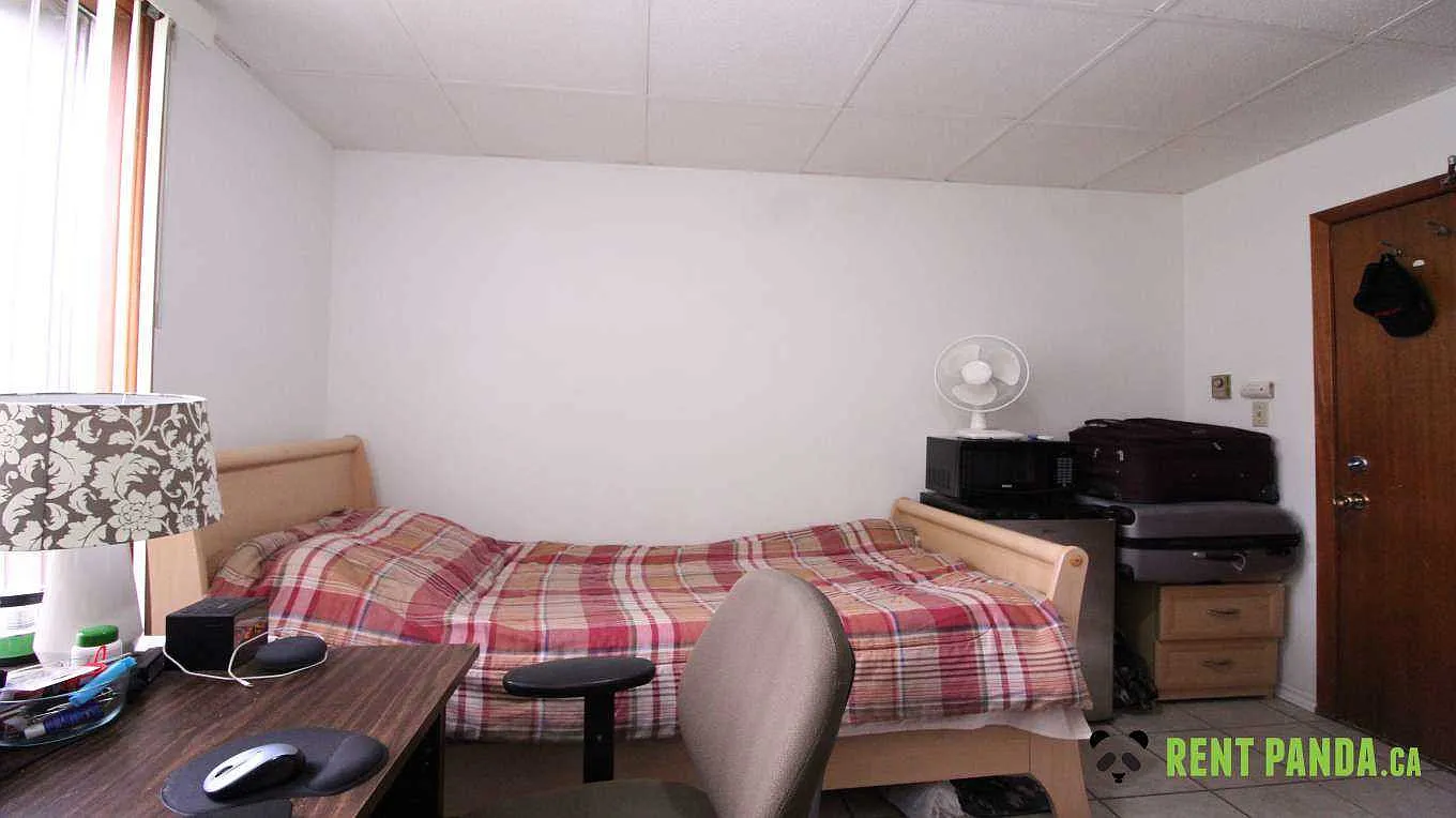 Studio, $900 — Photo 3