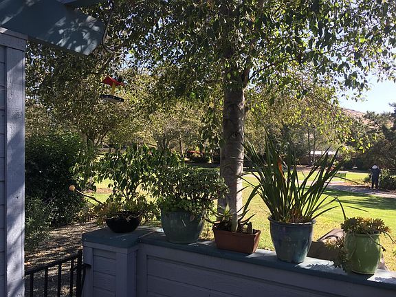 First floor patio and view of park.